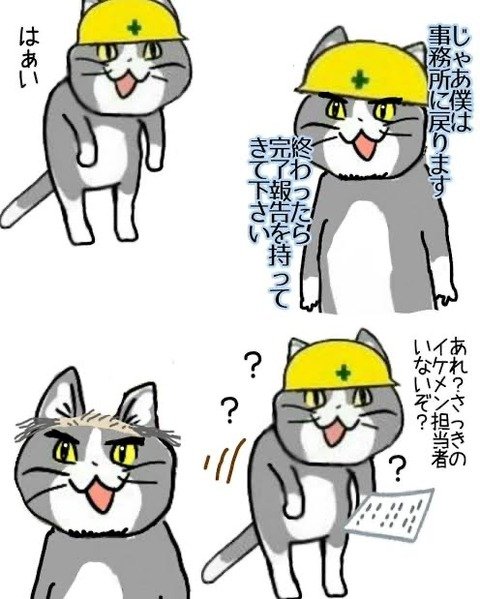 猫 なん j 現場